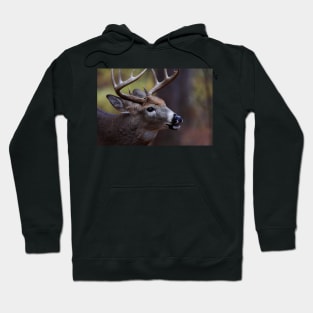 Big 10-pointer - White-tailed Deer Hoodie